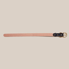 Pet Collar - Beirut Black