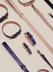 Pet Collar - Sabah Blue