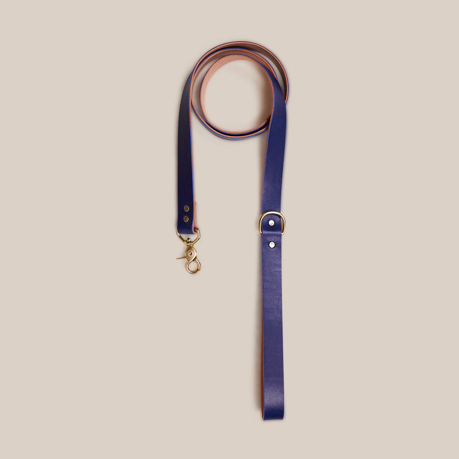 Pet Leash - Sabah Blue