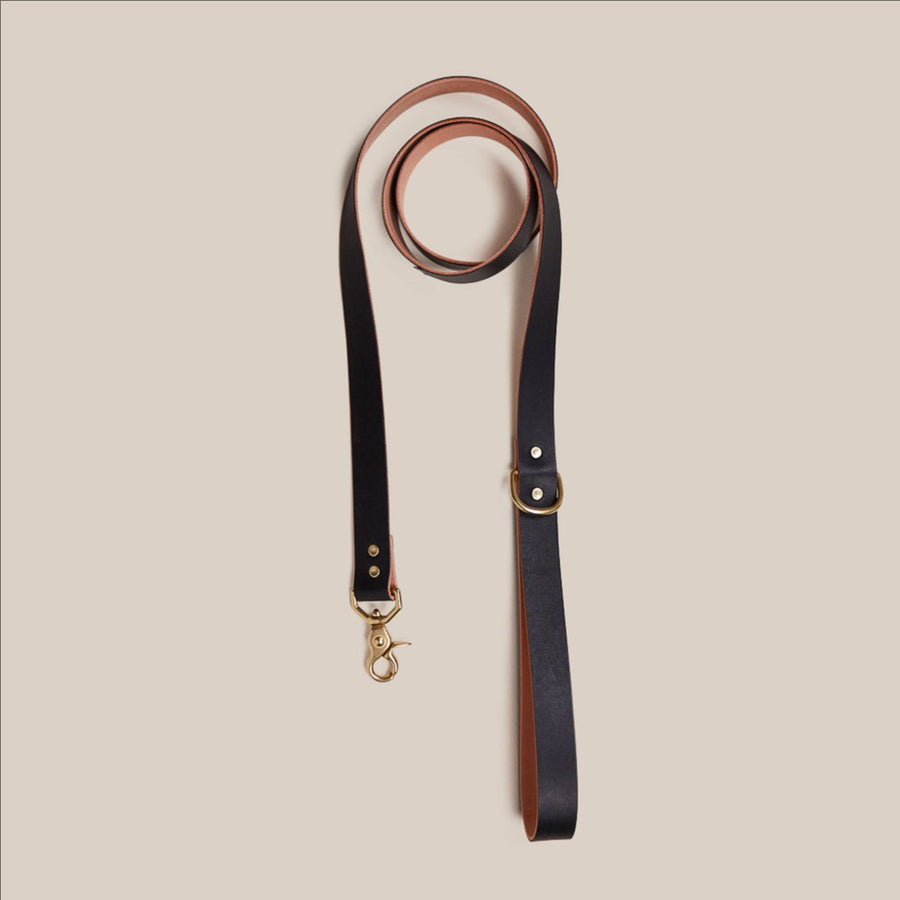 Pet Leash - Beirut Black