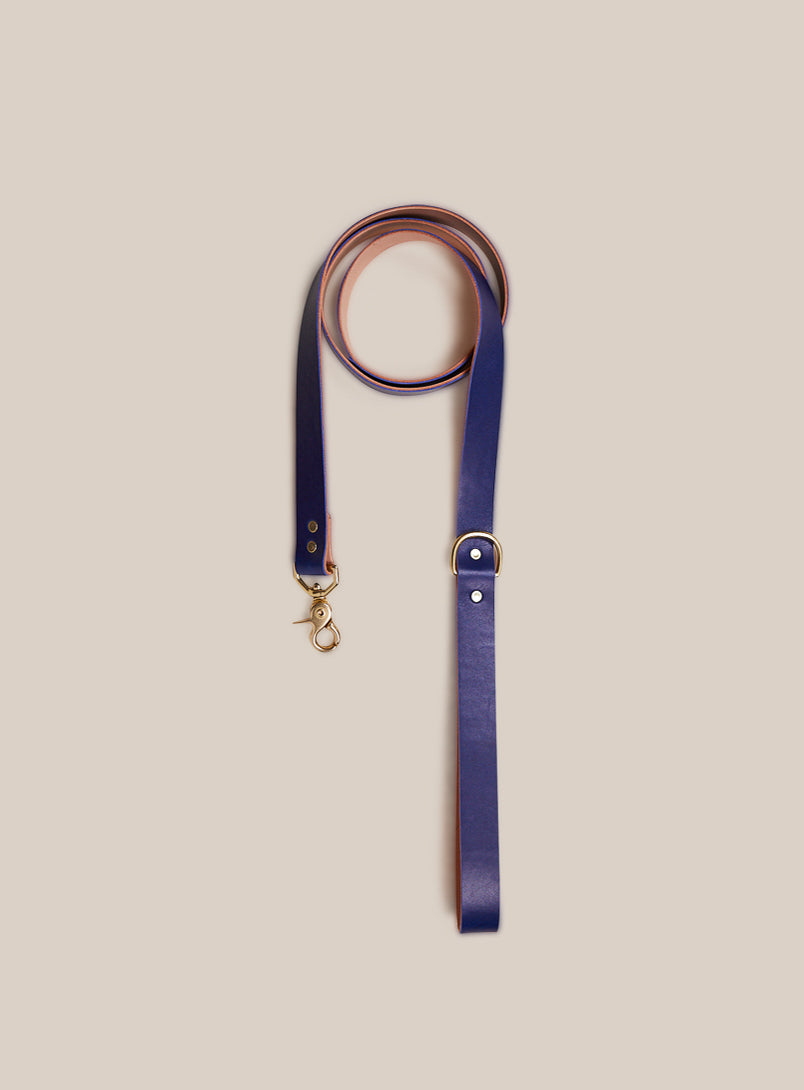 Pet Leash - Sabah Blue