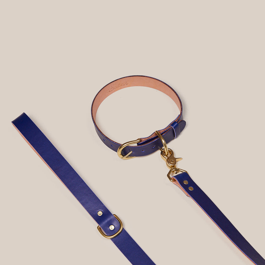 Pet Leash - Sabah Blue